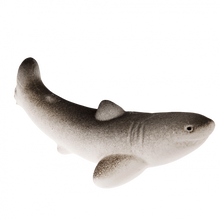 Load image into Gallery viewer, Giant Shark Hatching Egg