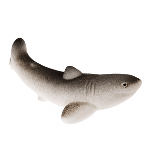 Giant Shark Hatching Egg