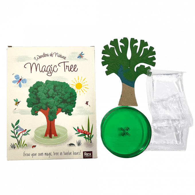 Wonders Of Nature Magic Tree