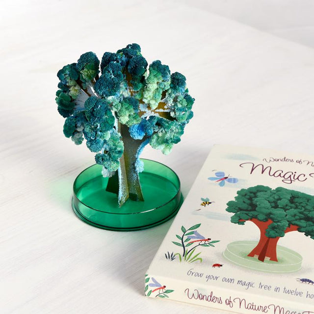 Wonders Of Nature Magic Tree