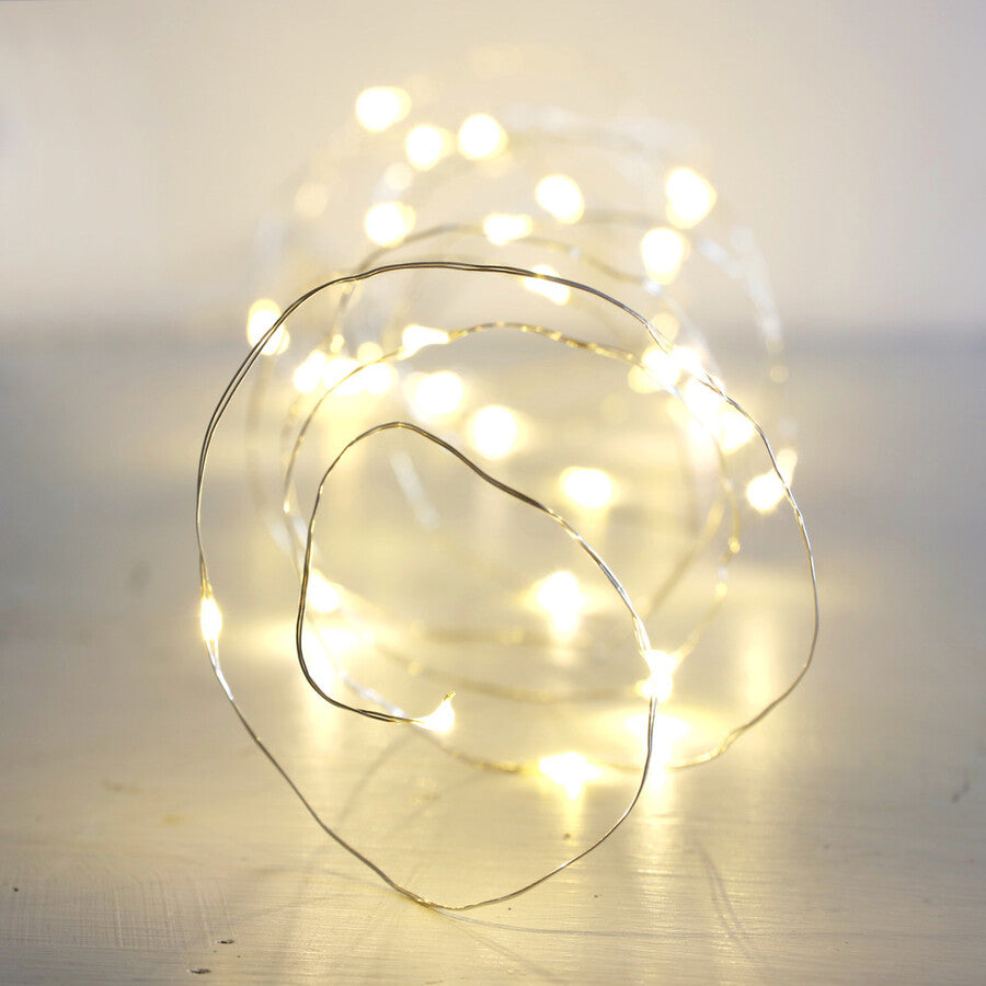 Silver LED Wire String Lights