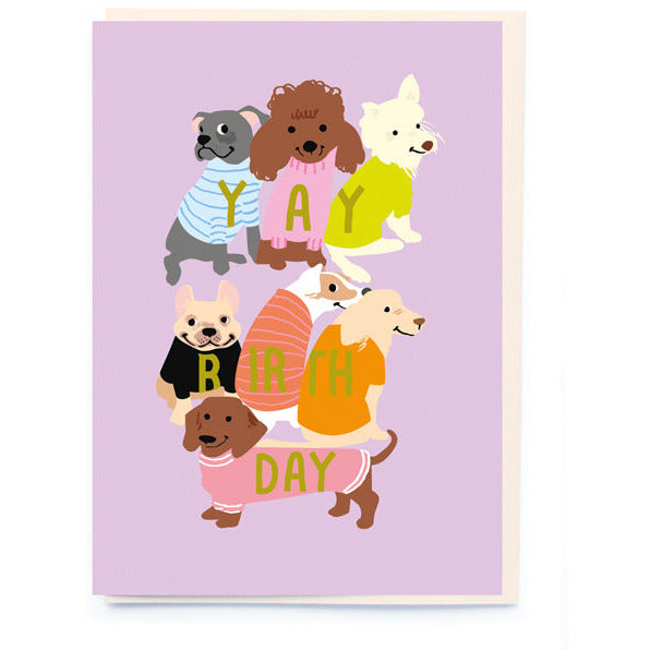 Dogs In Jumpers Birthday Card