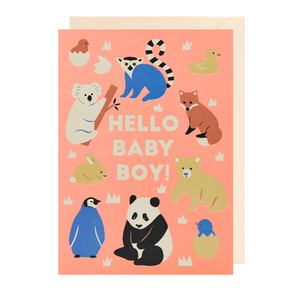 Hello Baby Boy Card