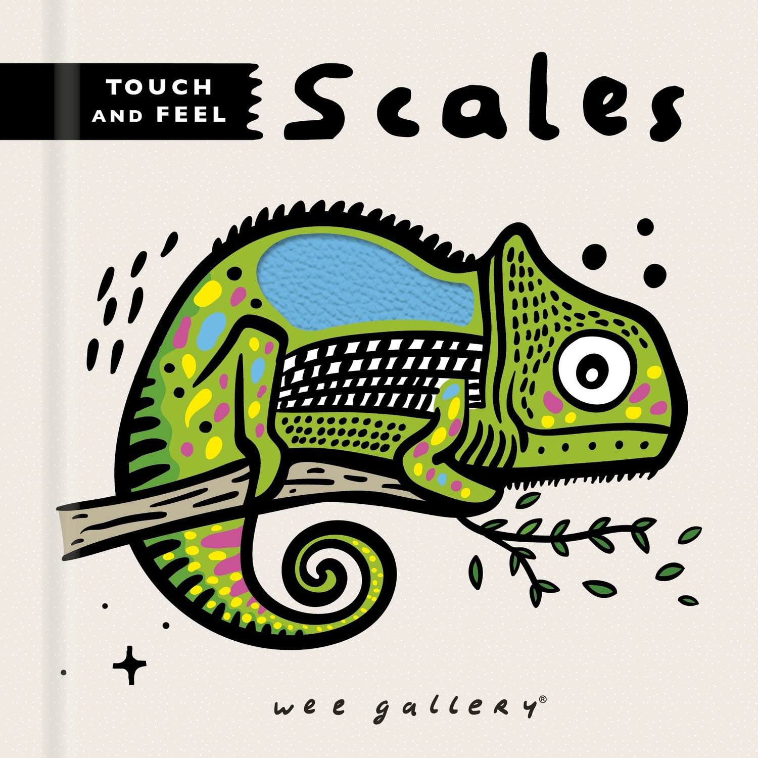 Scales Touch And Feel Book