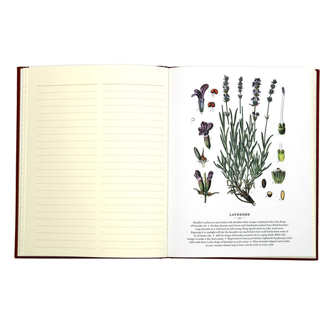 Observer's Notebook