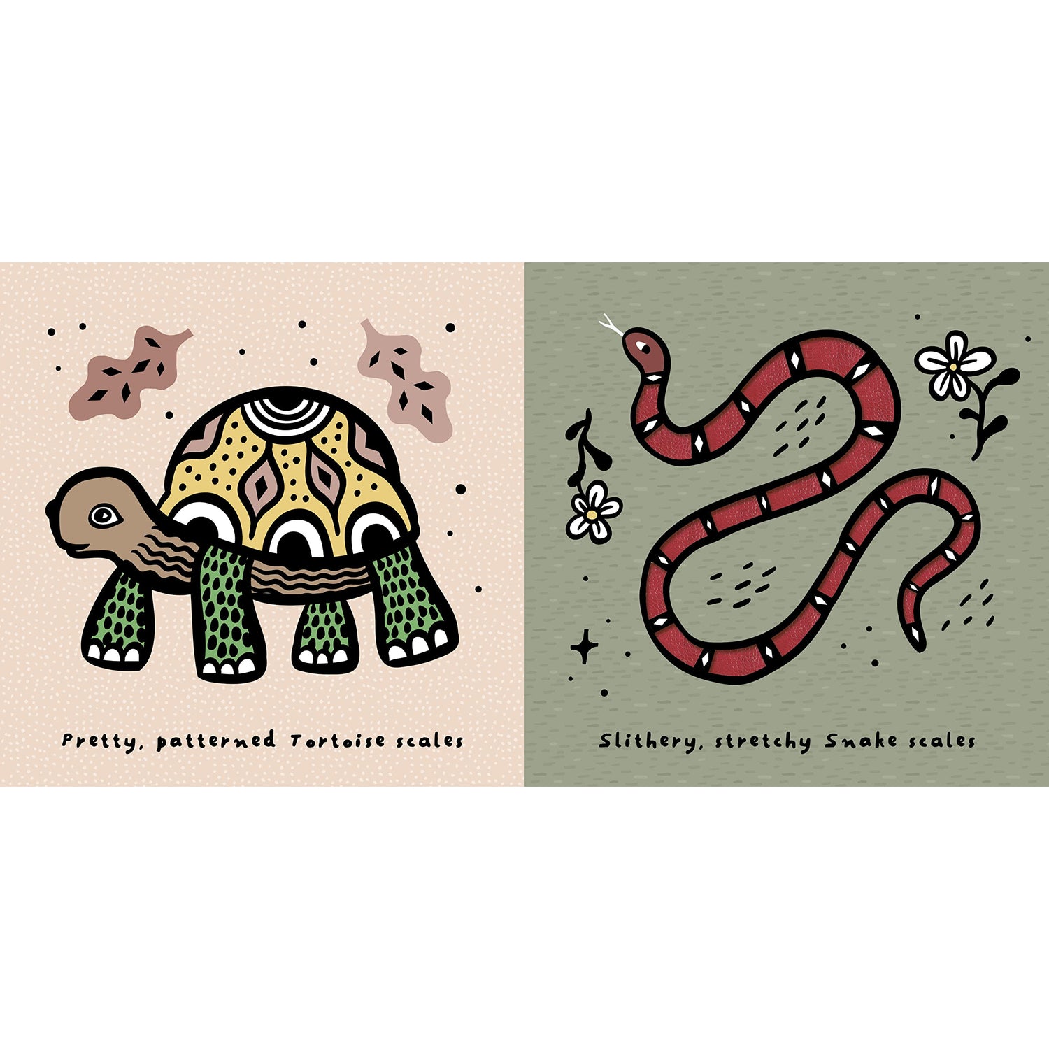 Scales Touch And Feel Book