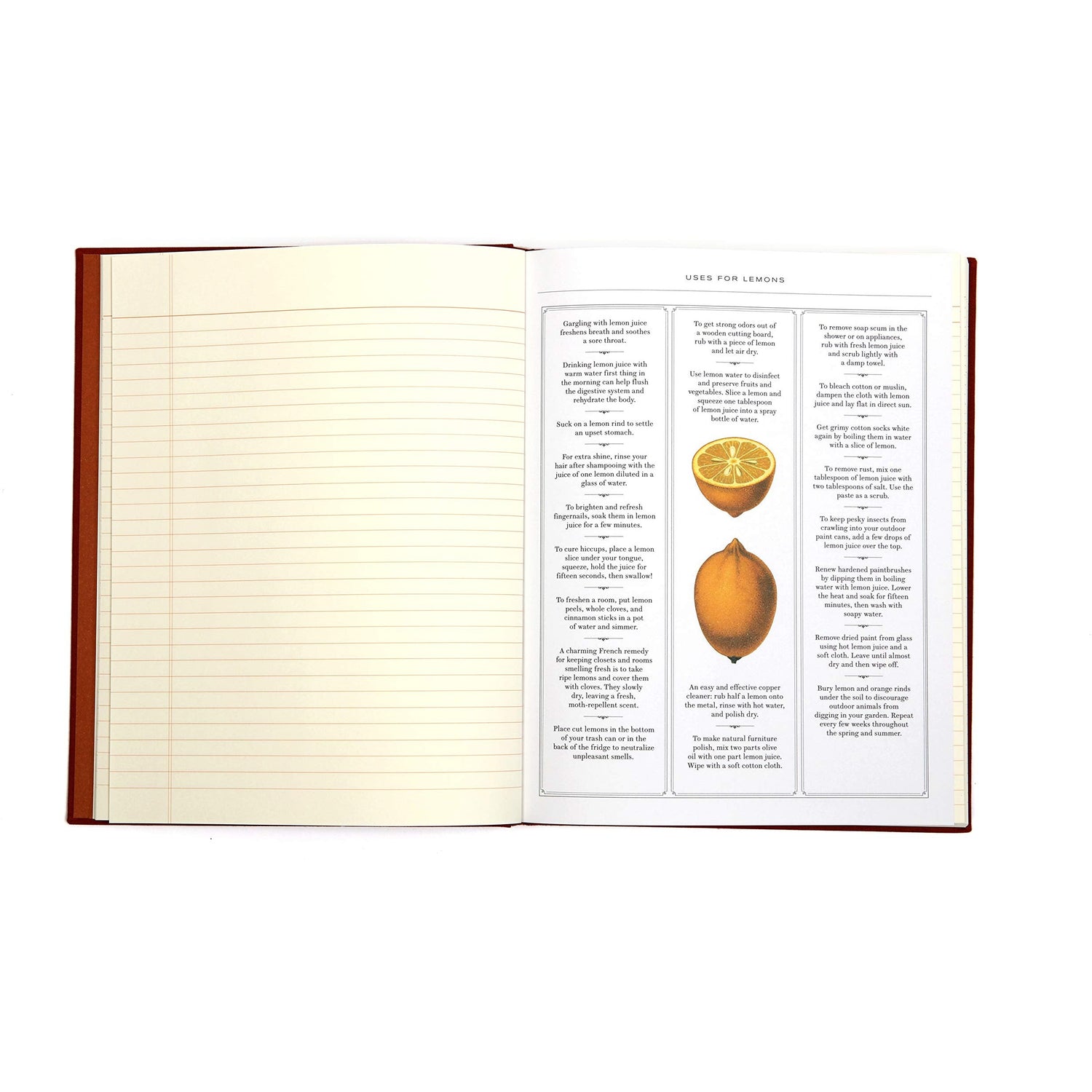 Observer's Notebook