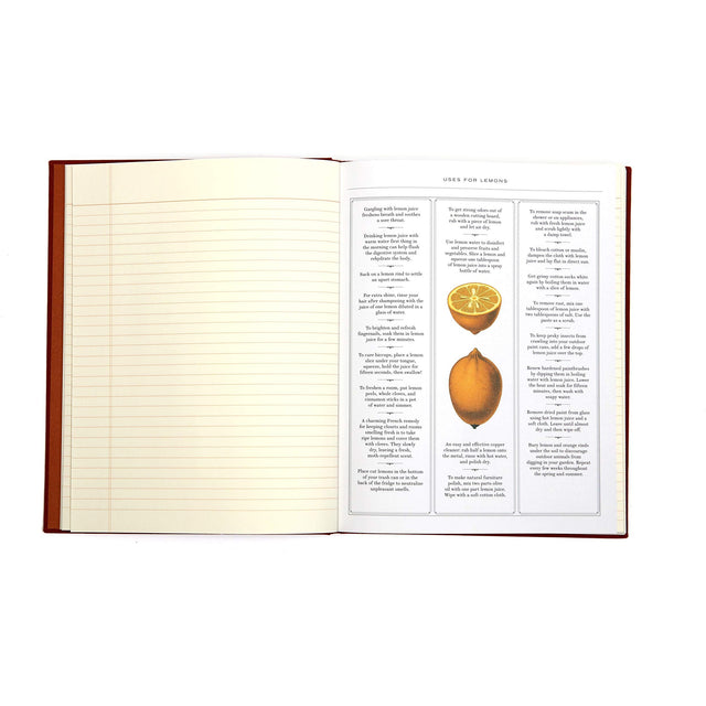 Observer's Notebook