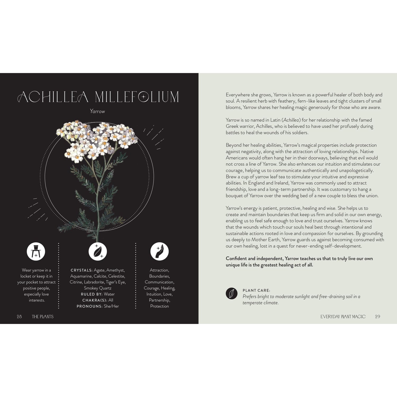 Everyday Plant Magic Book