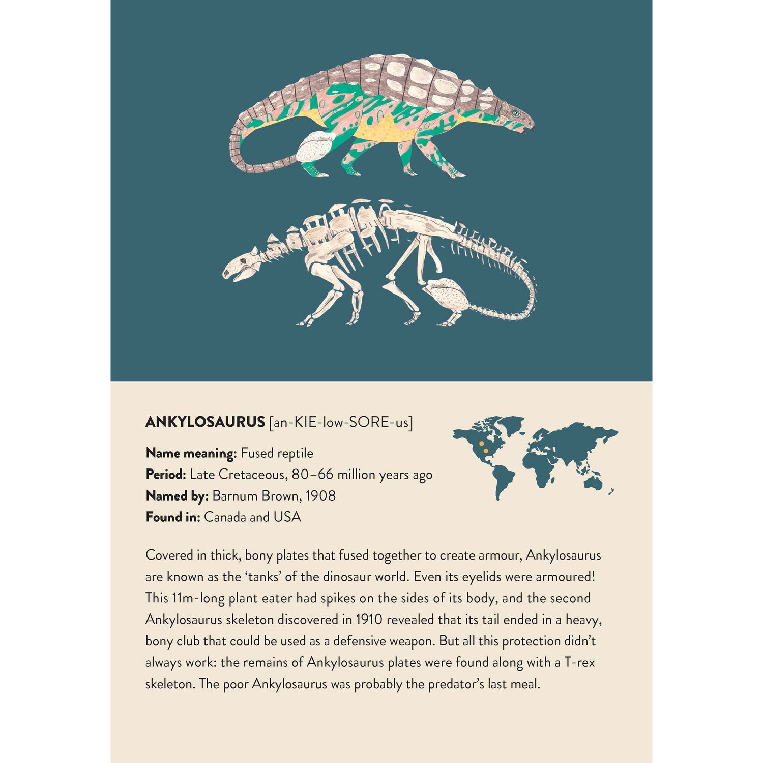 Match These Bones: Dinosaur Memory Game