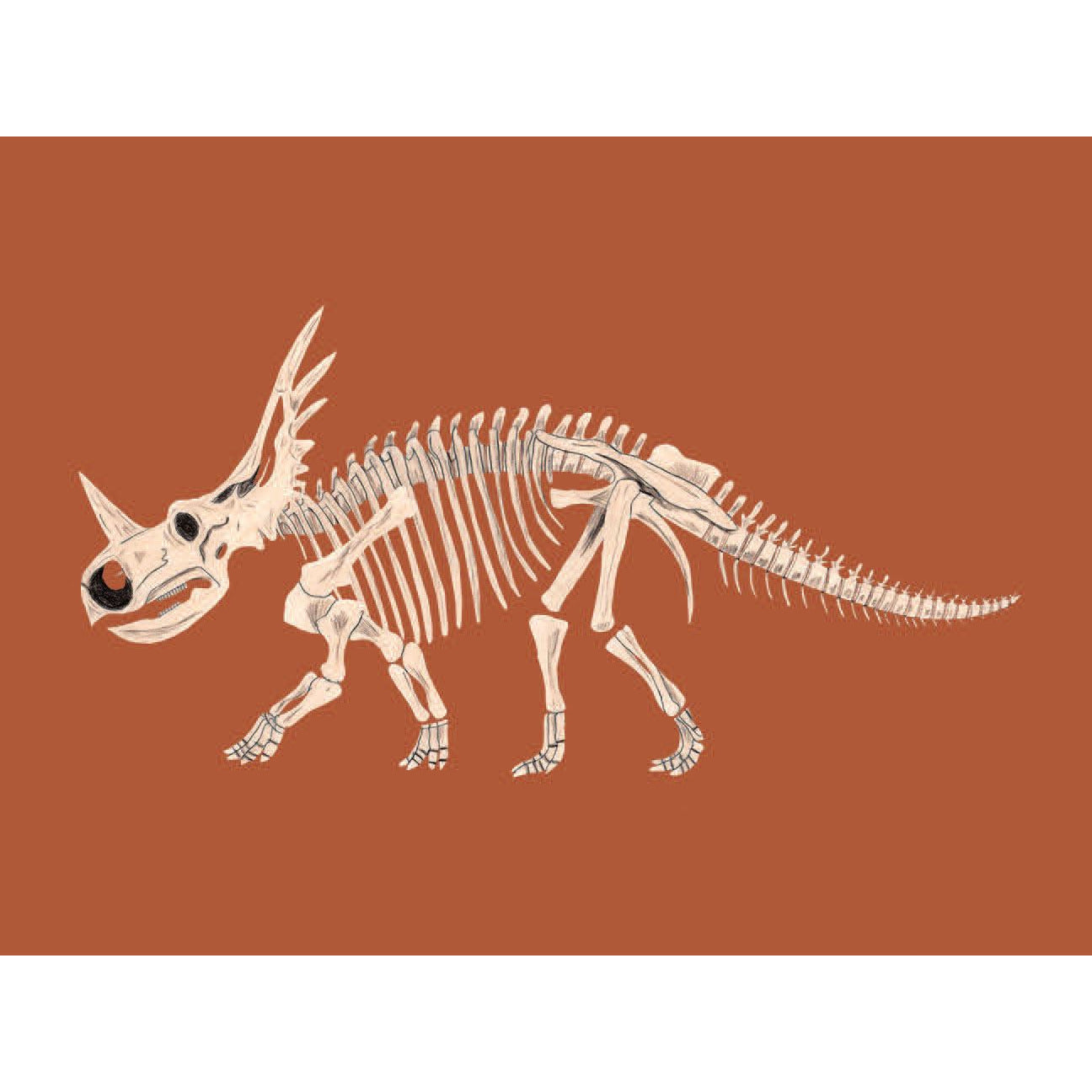 Match These Bones: Dinosaur Memory Game