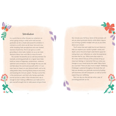 Your 5 Minute Journal