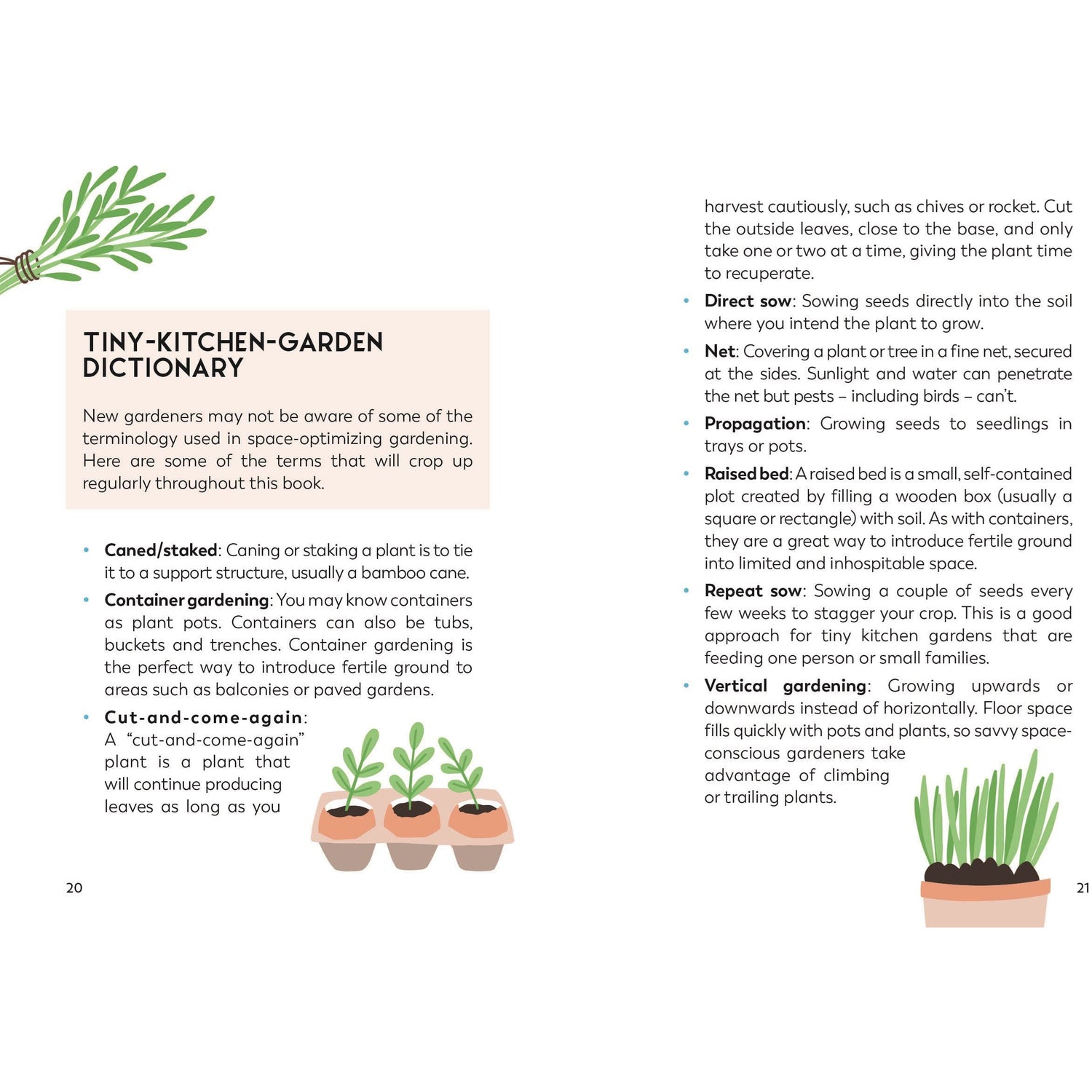 My Tiny Kitchen Garden Book
