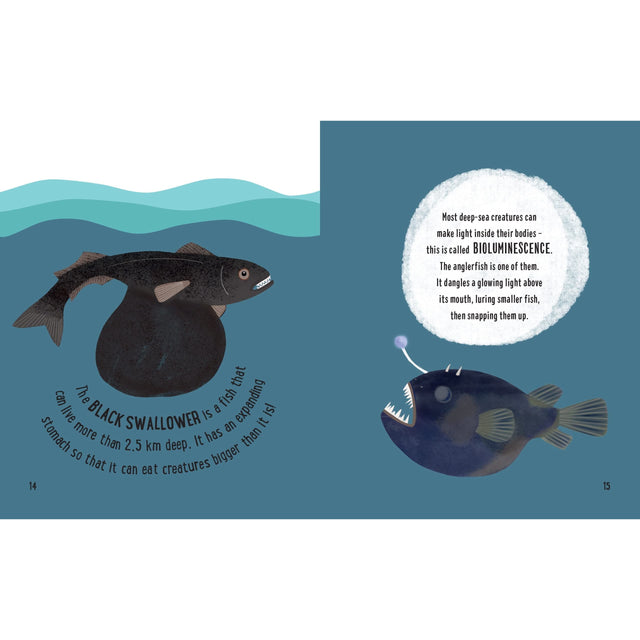 Small And Mighty Book Of Oceans