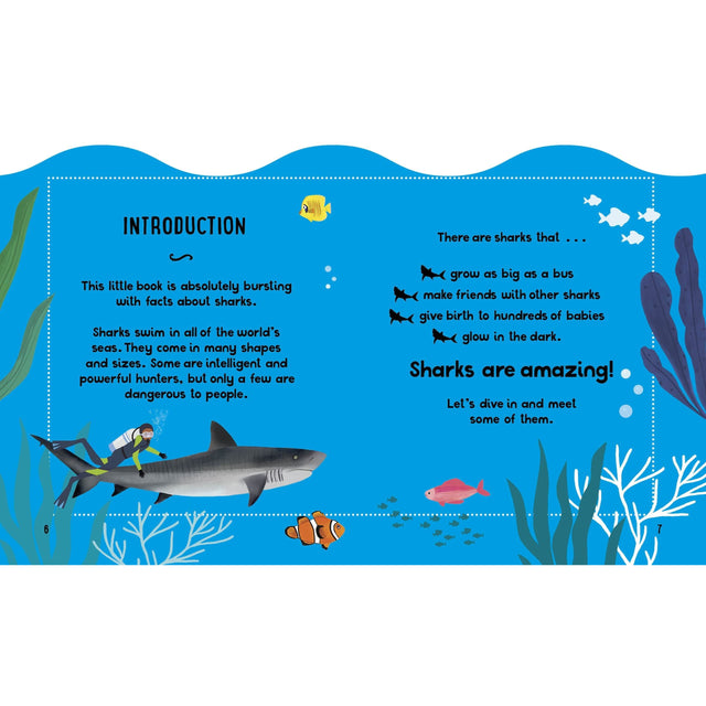 Small And Mighty Book Of Sharks