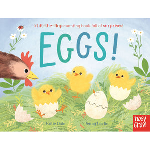 Eggs A Lift The Flap Counting Book