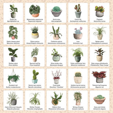 Load image into Gallery viewer, Plant Bingo: A Game for Green Thumbs