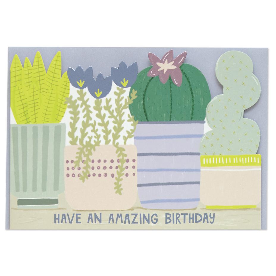 Have an Amazing Birthday Plants Card
