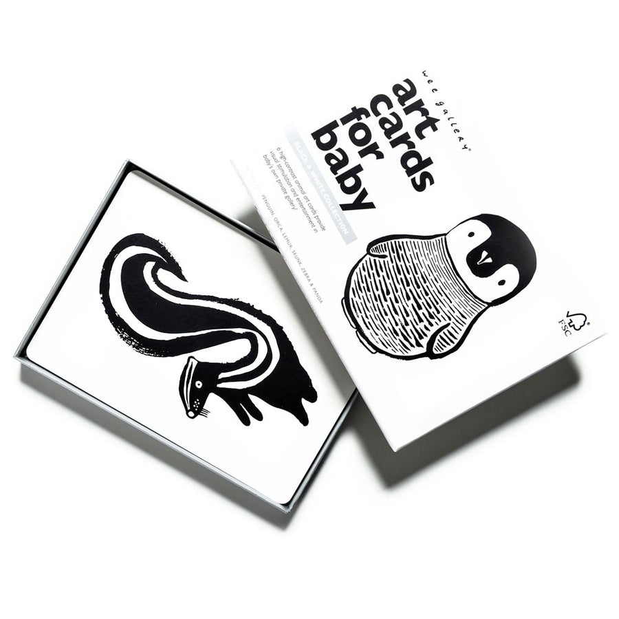 Black And White Art Cards For Baby