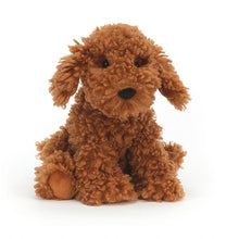Load image into Gallery viewer, Cooper Doodle Dog