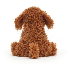 Load image into Gallery viewer, Cooper Doodle Dog