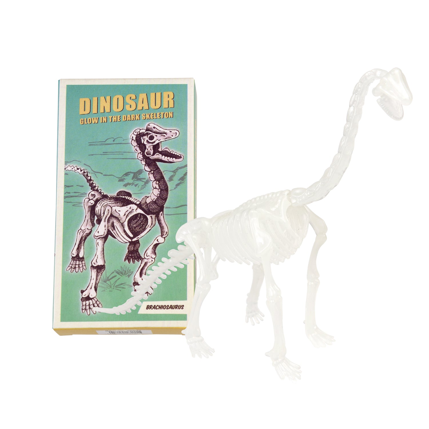 Assorted Dinosaur Skeleton Kit