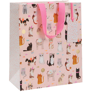 Large Party Cats Gift Bag