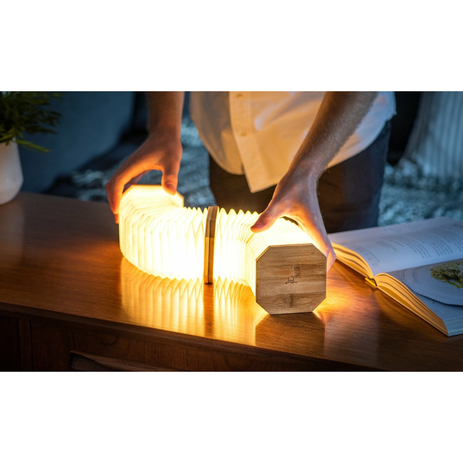 Accordion Bamboo Lamp