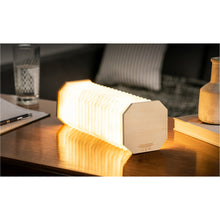 Load image into Gallery viewer, Accordion Bamboo Lamp