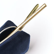 Load image into Gallery viewer, Steel Luxe Velvet Pencil Case Set