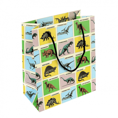 Medium Prehistoric Land Gift Bag
