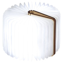Load image into Gallery viewer, Mini Smart Book Light: Maple