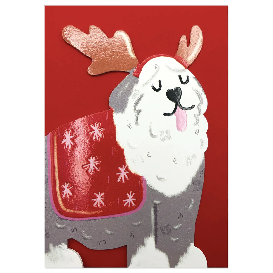 Festive Sheepdog Christmas Card