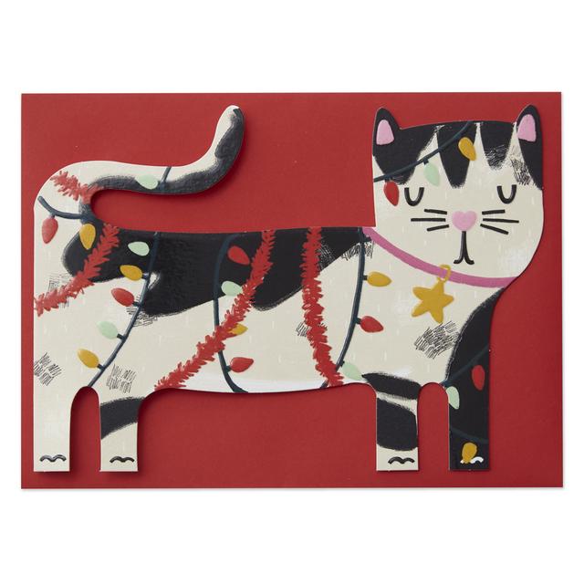Cat And Fairy Lights Christmas Card