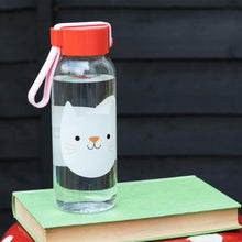 Load image into Gallery viewer, Small Cookie The Cat Water Bottle