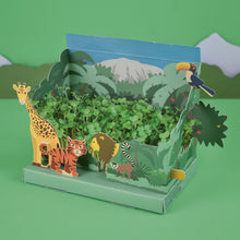 Load image into Gallery viewer, Grow Your Own Mini Jungle Garden