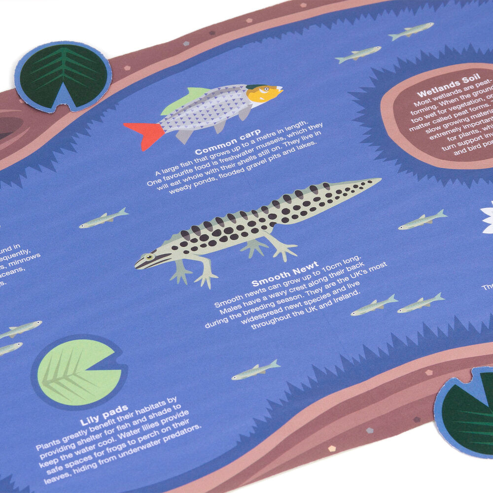 Wetland Wildlife Origami