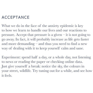 The Anxiety Journal