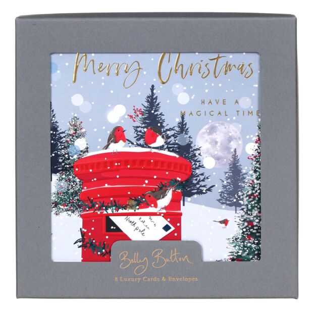 Robins On Post Box Set Of 8 Boxed Christmas Cards