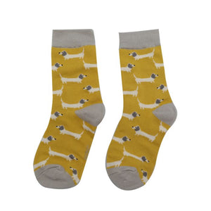 Gift Box Cat And Dogs Bamboo Socks - Age 4-6 Years