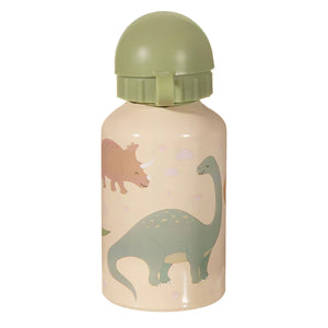 Desert Dinosaurs Metal Water Bottle