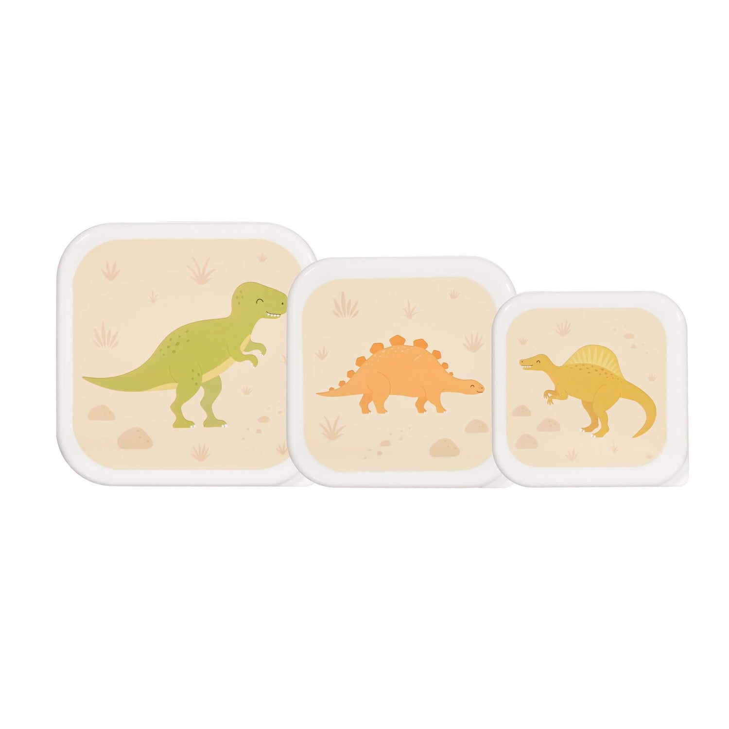 Desert Dino Snack Boxes