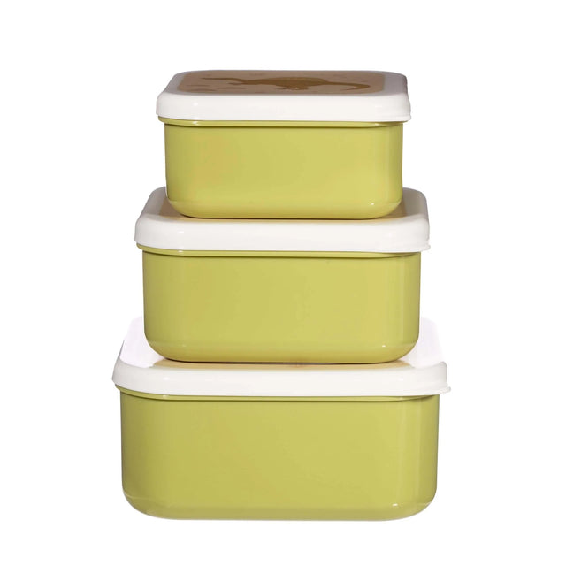 Desert Dino Snack Boxes