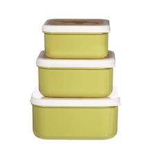 Load image into Gallery viewer, Set Of 3 Desert Dino Lunch Boxes