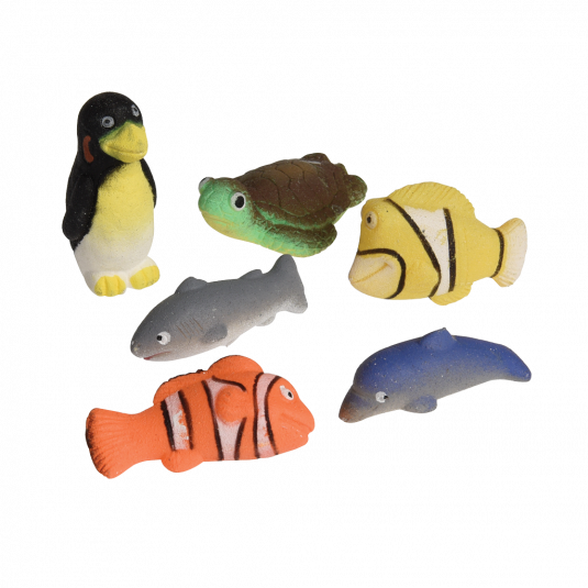 Hatching Marine Animal Egg