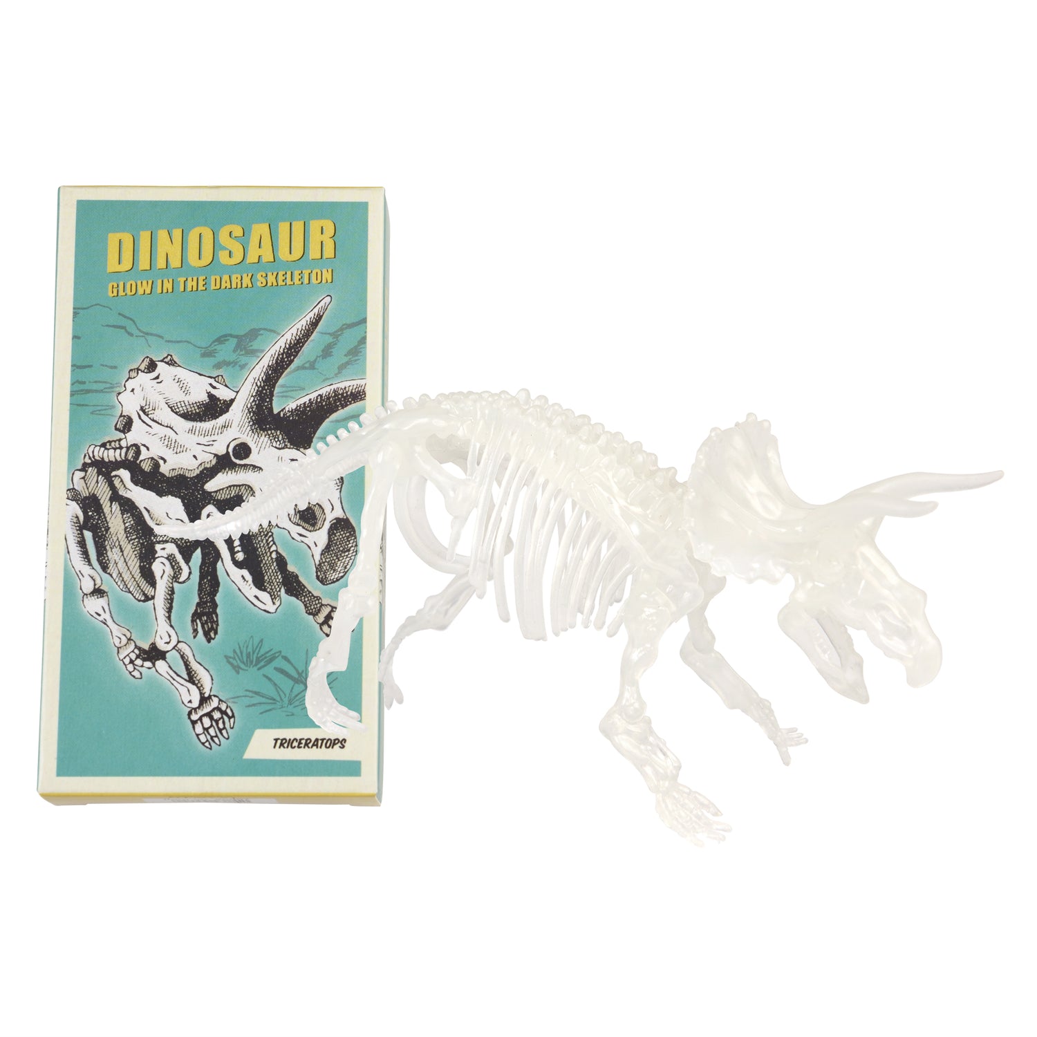 Assorted Dinosaur Skeleton Kit