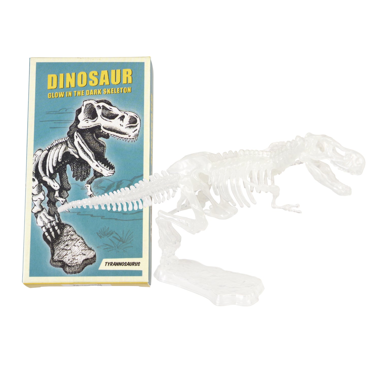 Assorted Dinosaur Skeleton Kit