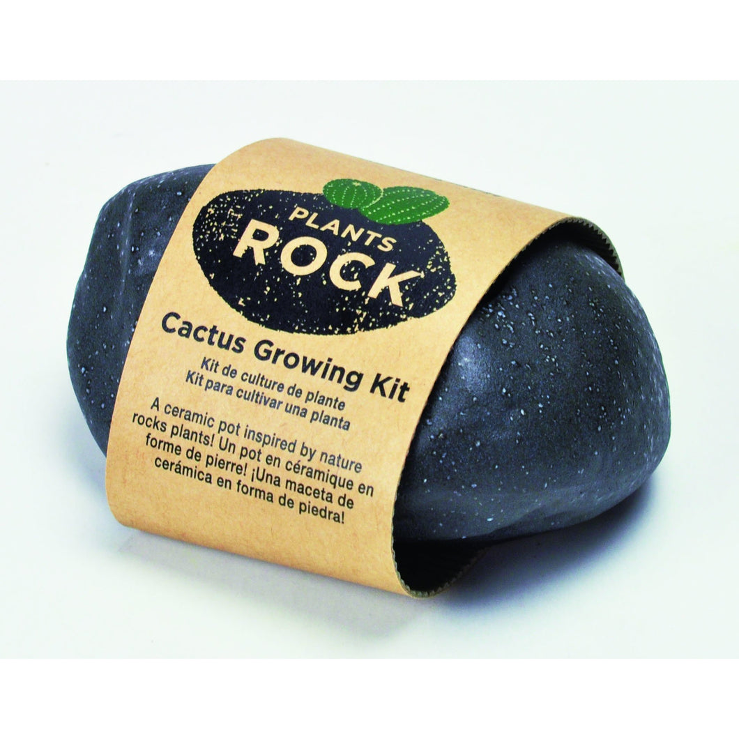 Grow Your Own Cactus -Black Rock