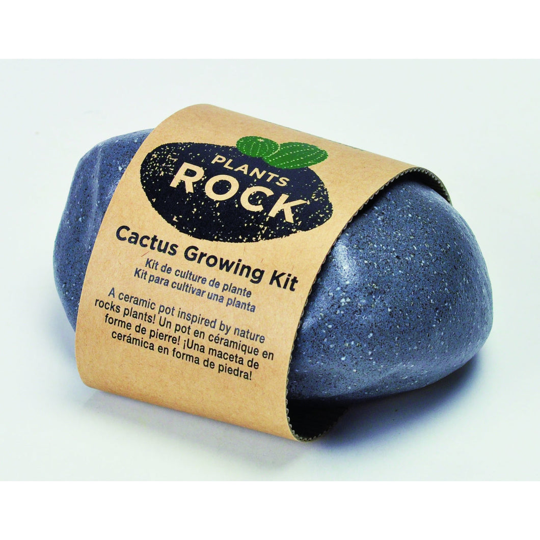 Grow Your Own Cactus -Dark Grey Rock