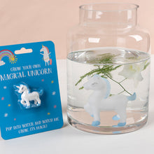 Load image into Gallery viewer, Grow Your Own Magical Unicorn